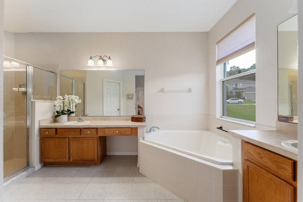 3463 CREEK RUN LN, EUSTIS, FL, 32736