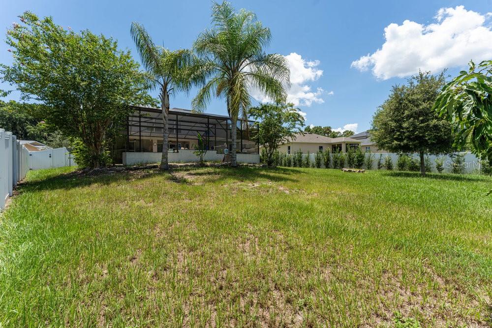 3463 CREEK RUN LN, EUSTIS, FL, 32736