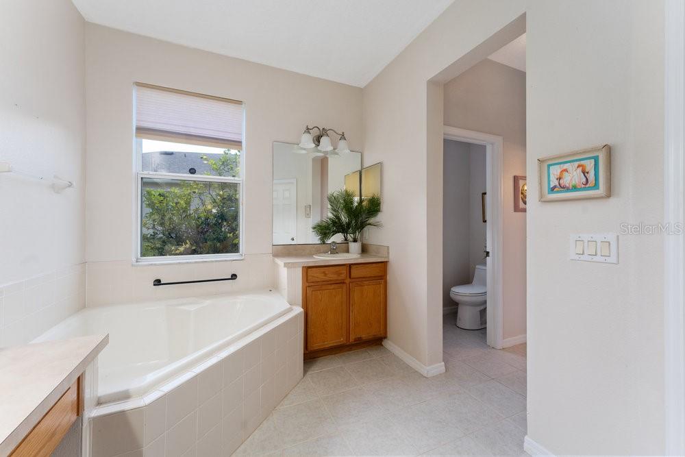 3463 CREEK RUN LN, EUSTIS, FL, 32736