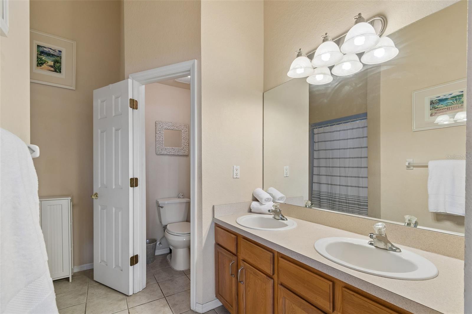 1633 HAMMOCKS AVE #1633, LUTZ, FL, 33549