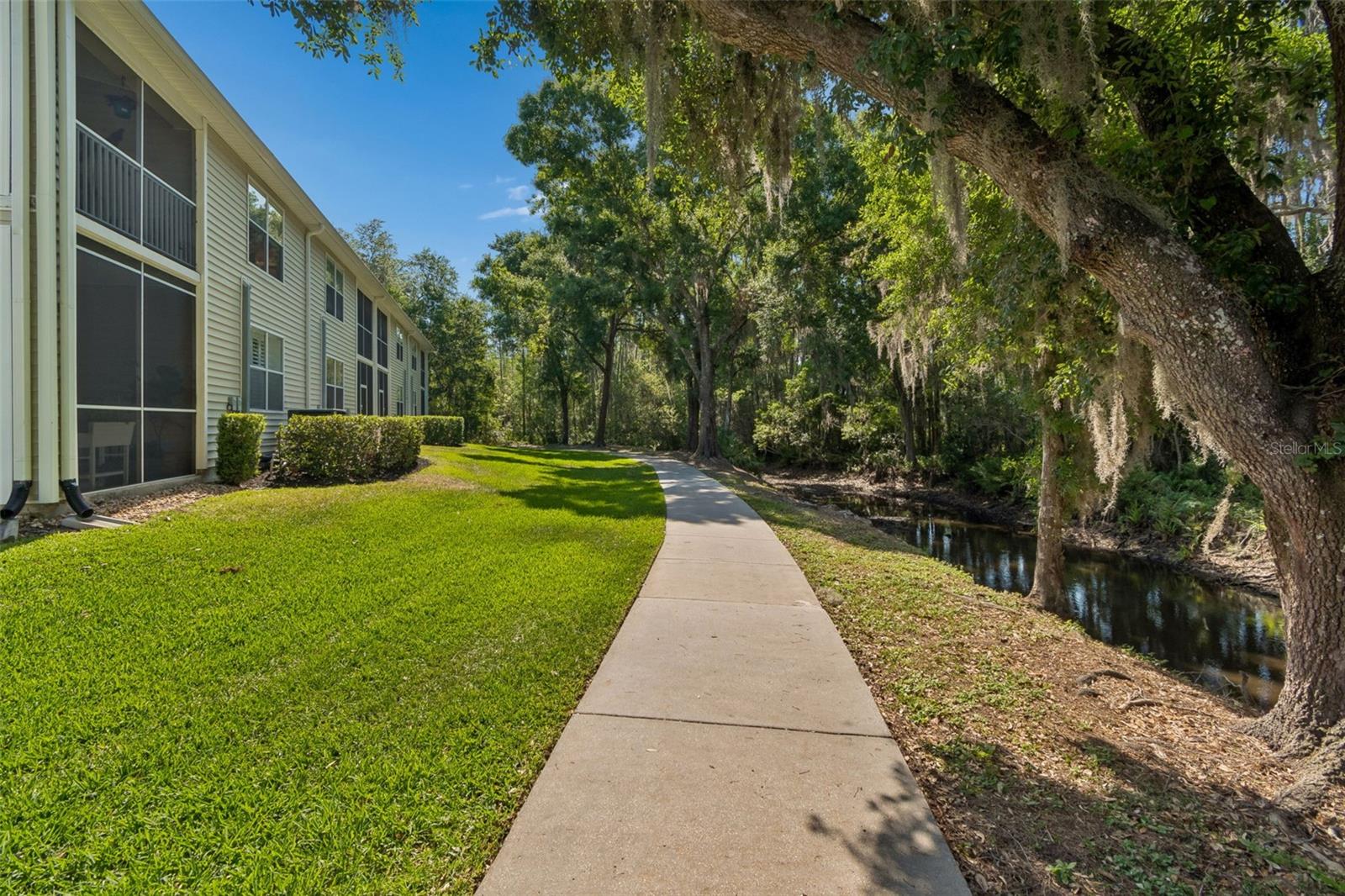 1633 HAMMOCKS AVE #1633, LUTZ, FL, 33549