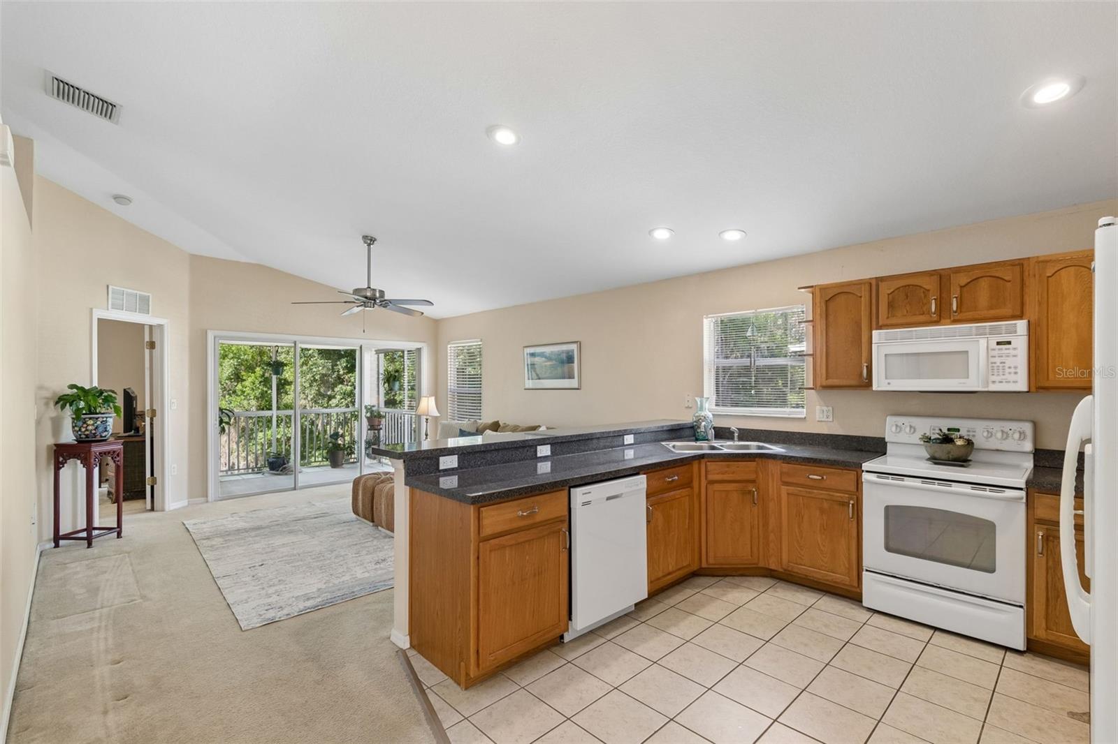 1633 HAMMOCKS AVE #1633, LUTZ, FL, 33549