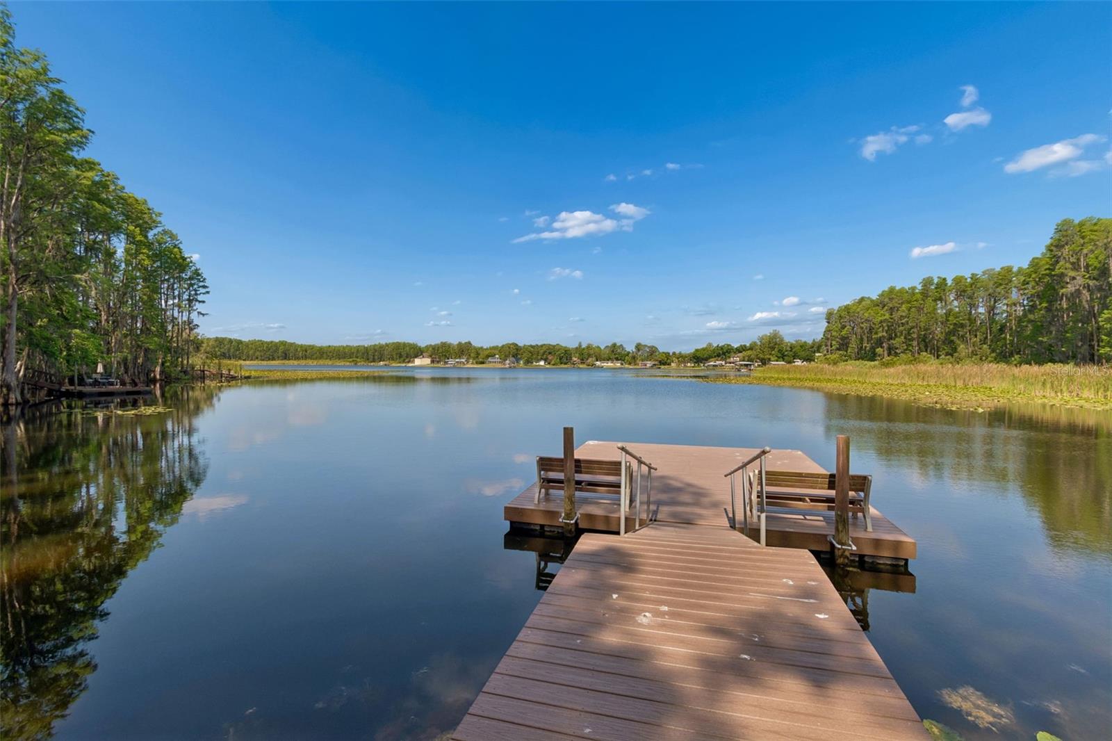 1633 HAMMOCKS AVE #1633, LUTZ, FL, 33549