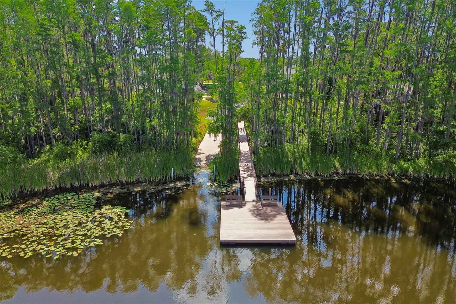 1633 HAMMOCKS AVE #1633, LUTZ, FL, 33549