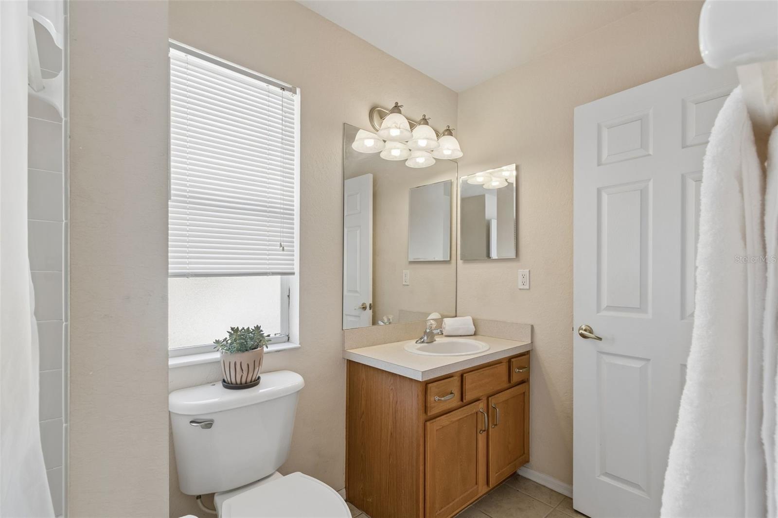 1633 HAMMOCKS AVE #1633, LUTZ, FL, 33549