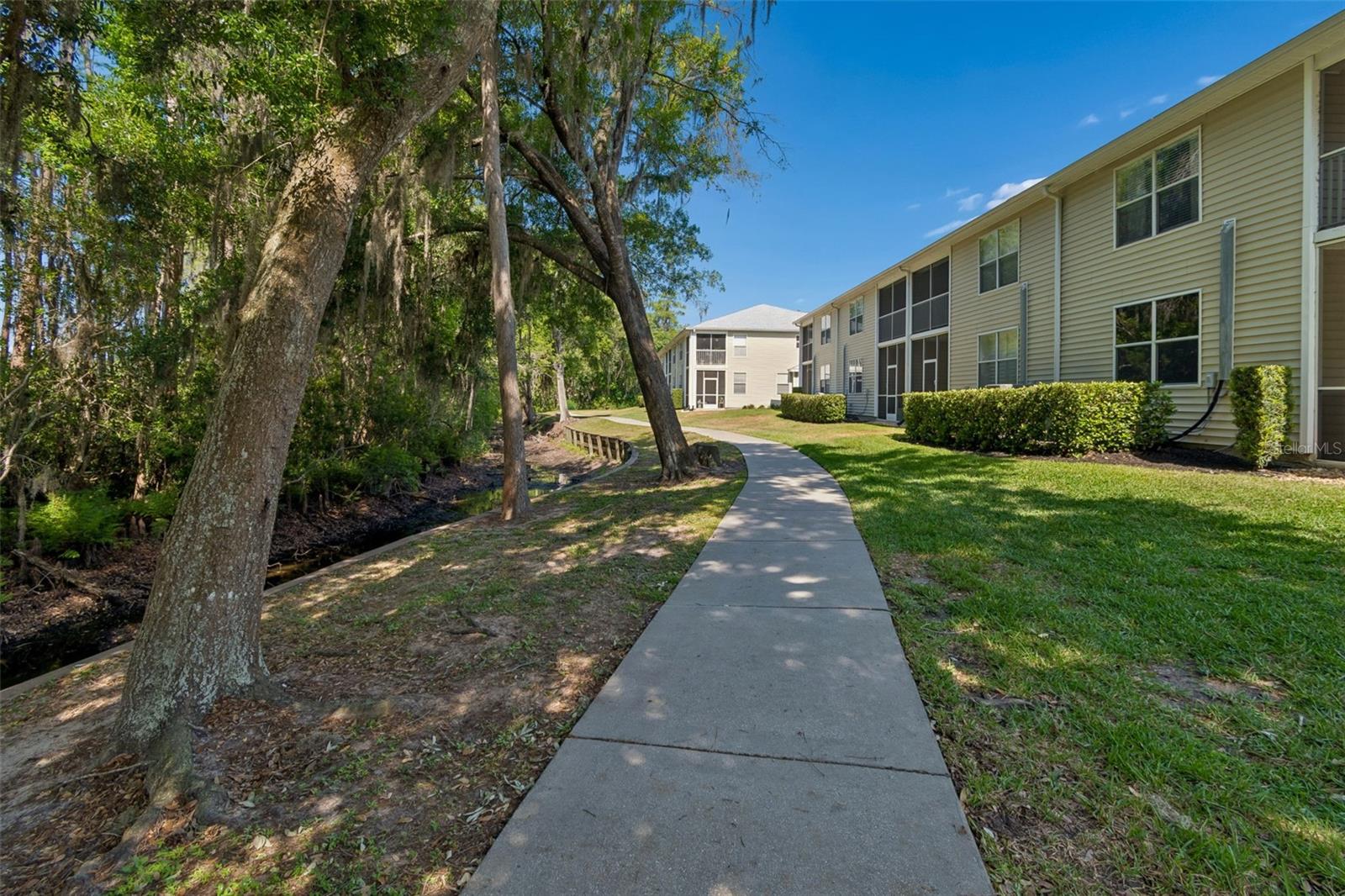 1633 HAMMOCKS AVE #1633, LUTZ, FL, 33549