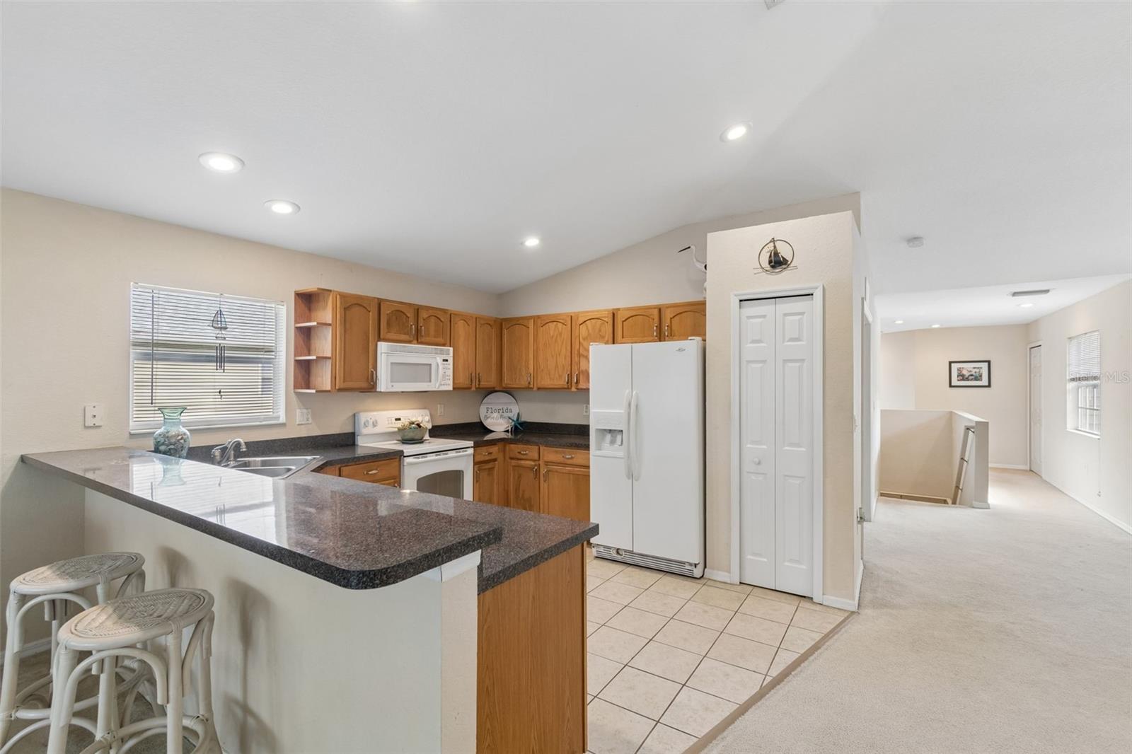 1633 HAMMOCKS AVE #1633, LUTZ, FL, 33549