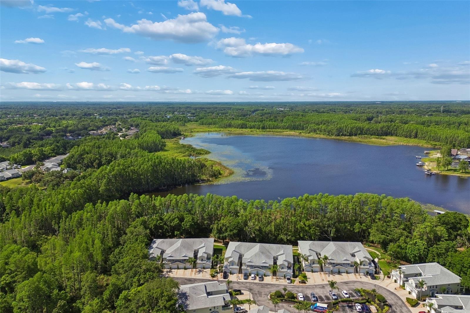 1633 HAMMOCKS AVE #1633, LUTZ, FL, 33549