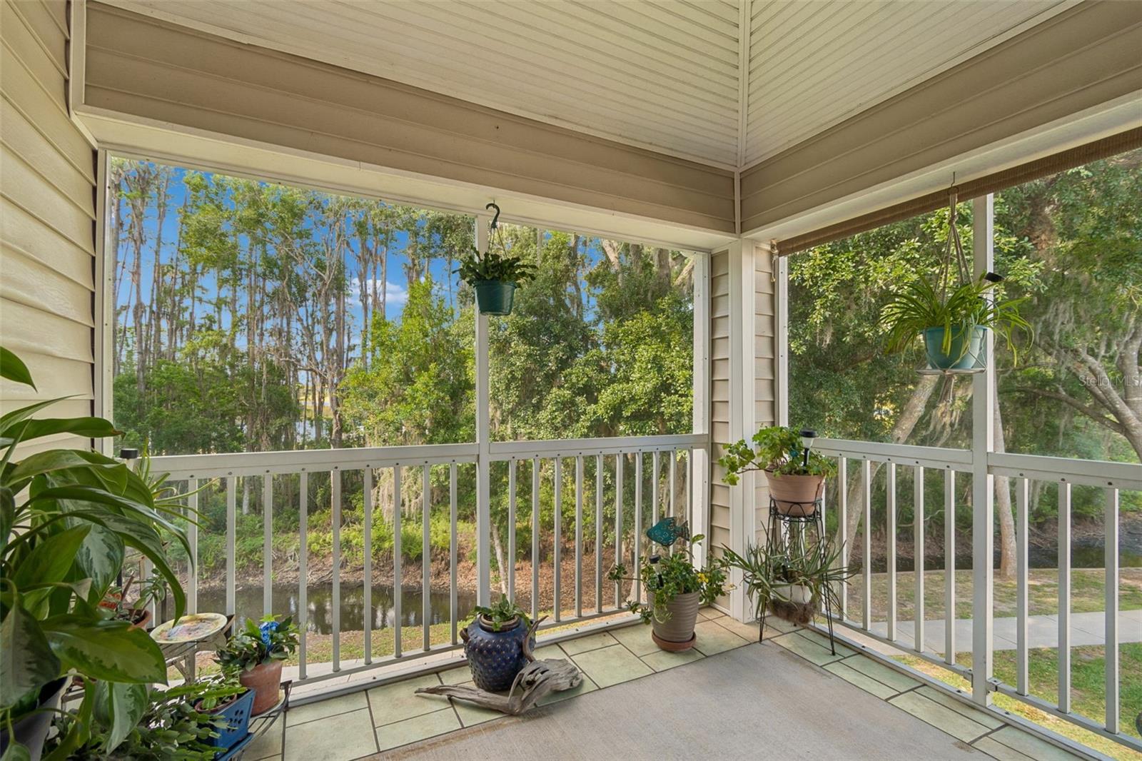1633 HAMMOCKS AVE #1633, LUTZ, FL, 33549