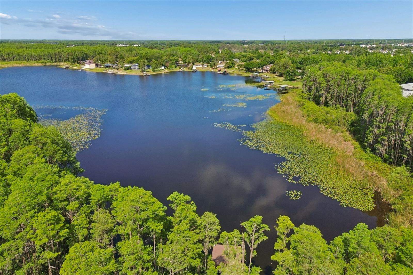 1633 HAMMOCKS AVE #1633, LUTZ, FL, 33549
