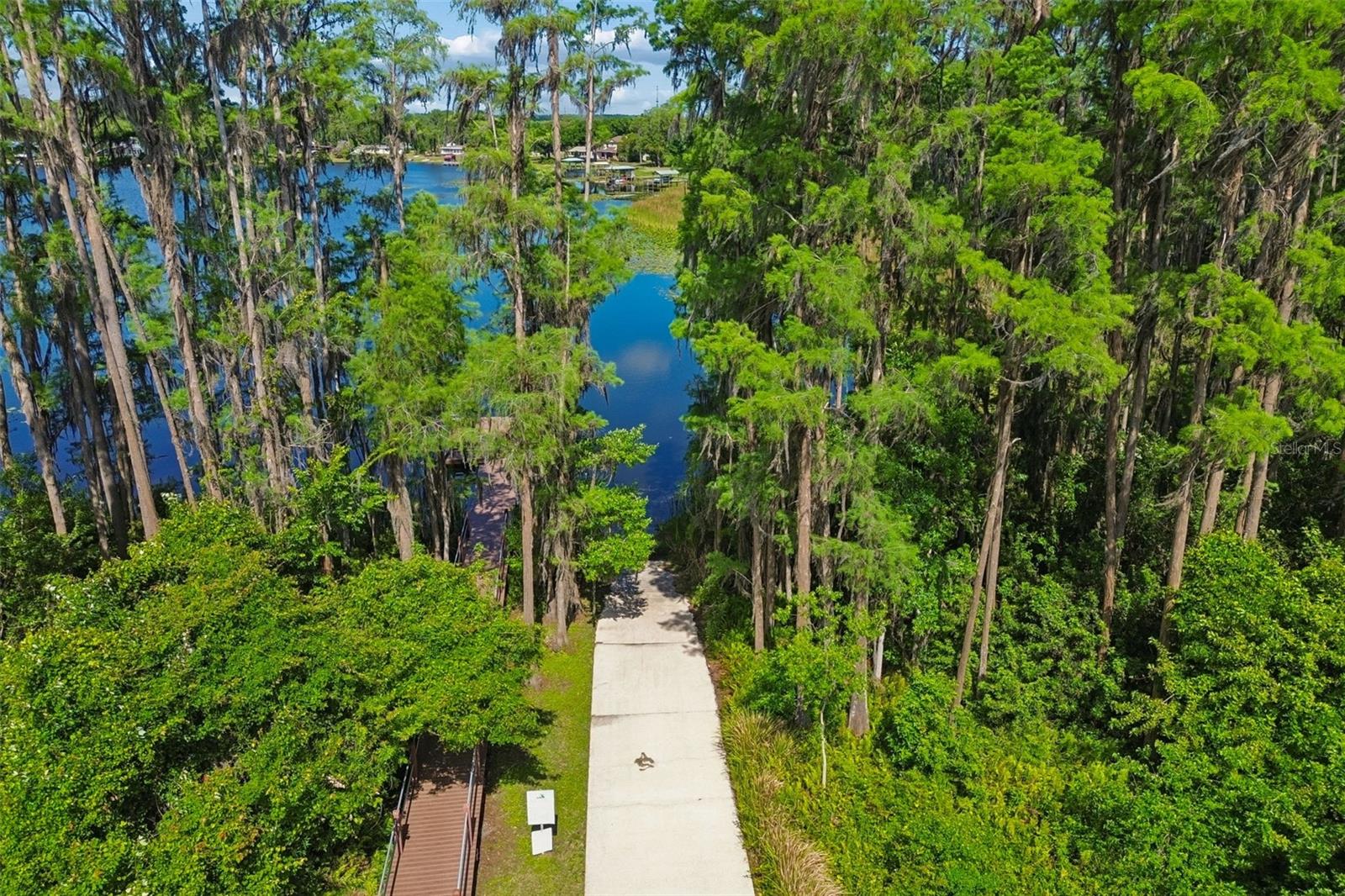 1633 HAMMOCKS AVE #1633, LUTZ, FL, 33549