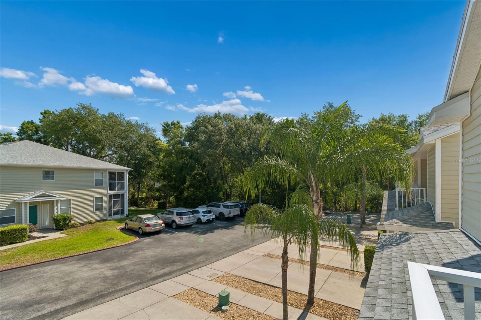 1633 HAMMOCKS AVE #1633, LUTZ, FL, 33549