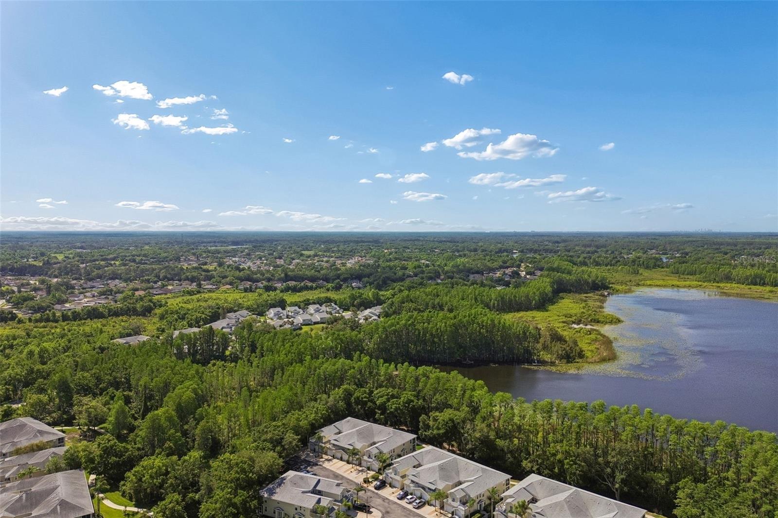 1633 HAMMOCKS AVE #1633, LUTZ, FL, 33549