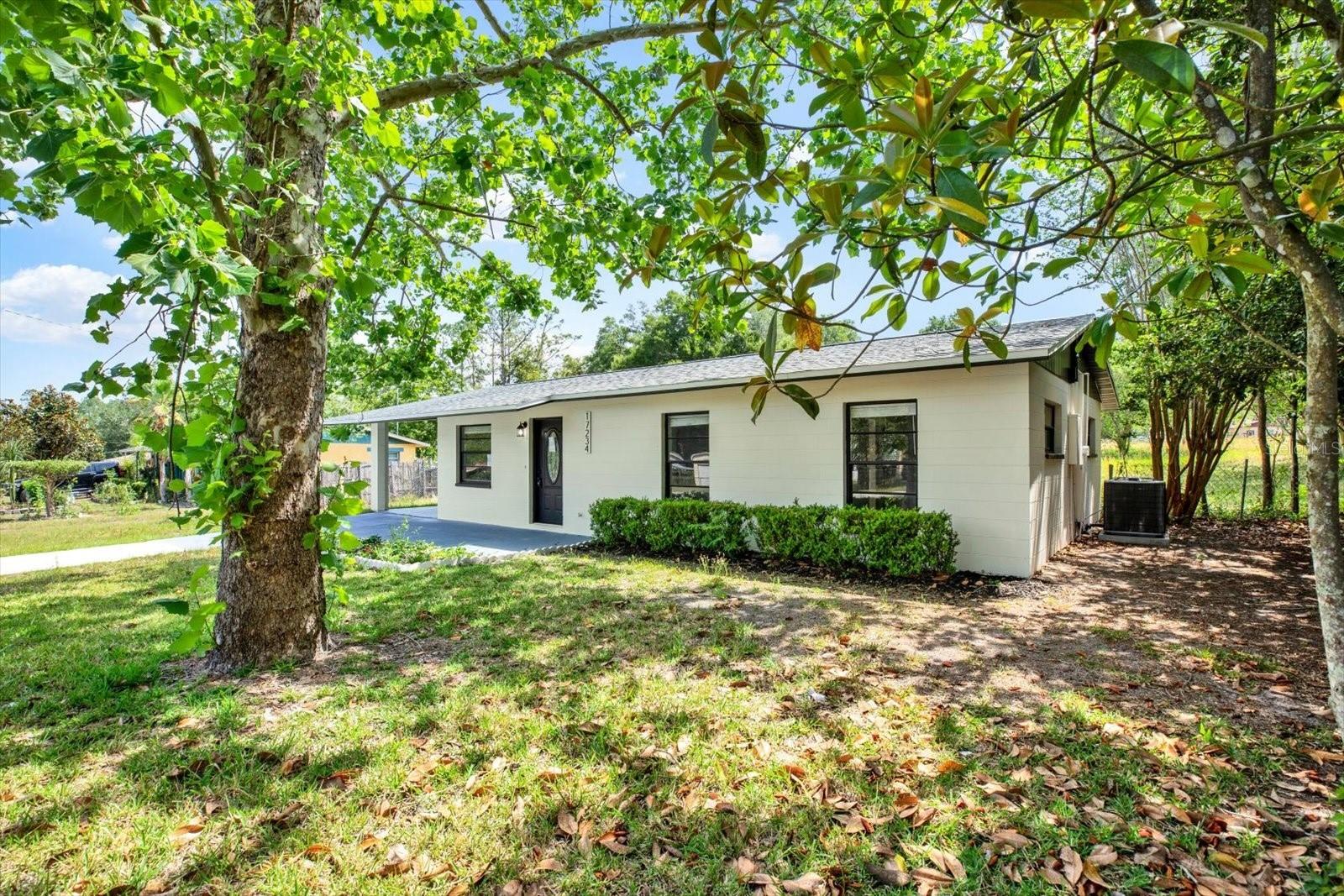 17234 ADELA ST, DADE CITY, FL, 33523