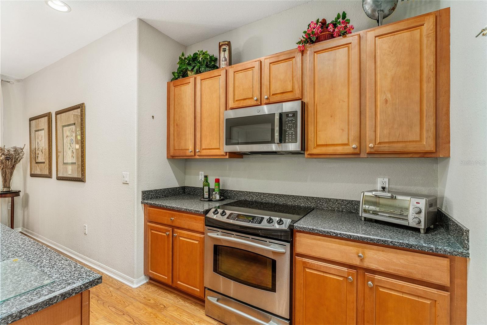12947 SE 97TH TERRACE RD, SUMMERFIELD, FL, 34491
