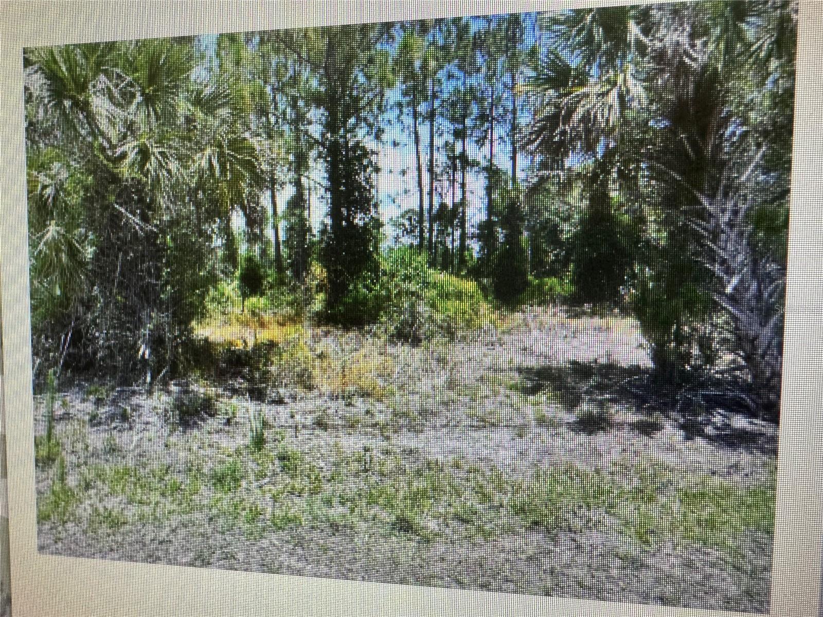 SAGO PALM RD, NORTH PORT, FL, 34291