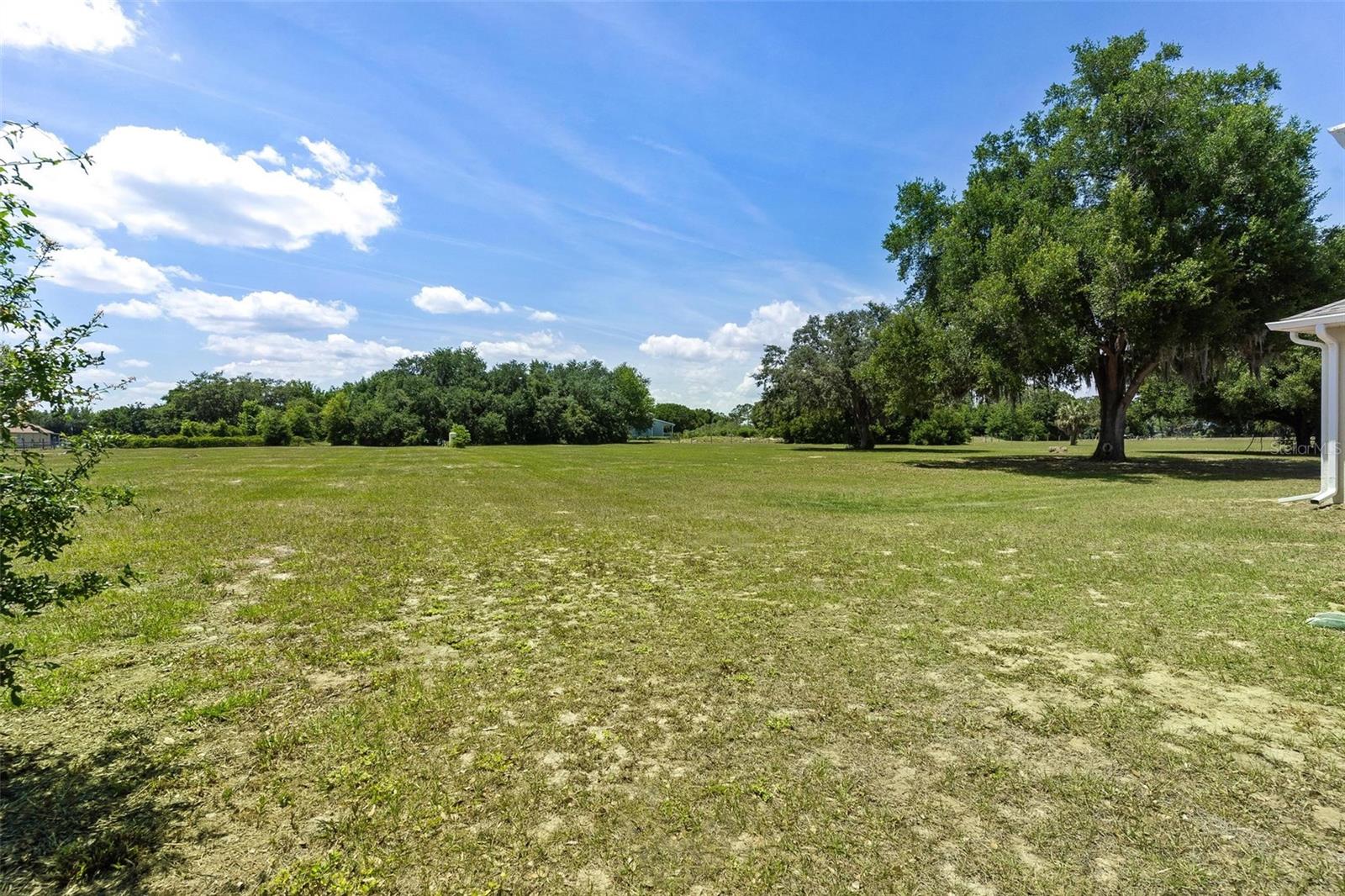 17440 COUNTY ROAD 448, MOUNT DORA, FL, 32757