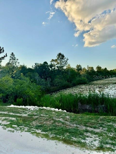RAPIDAN RD, WEEKI WACHEE, FL, 34614