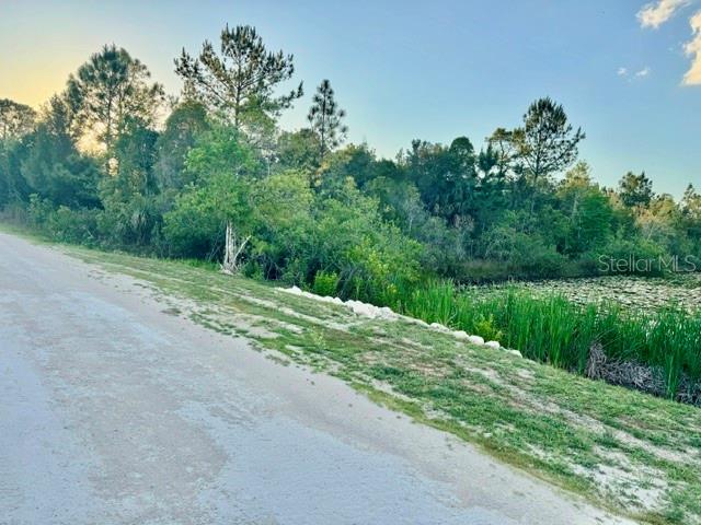 RAPIDAN RD, WEEKI WACHEE, FL, 34614