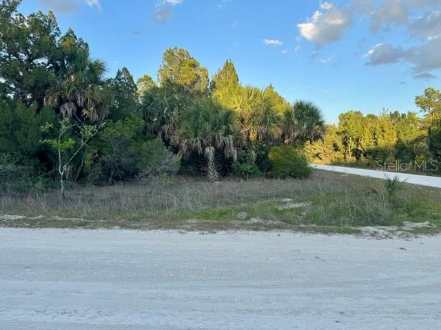 RAPIDAN RD, WEEKI WACHEE, FL, 34614