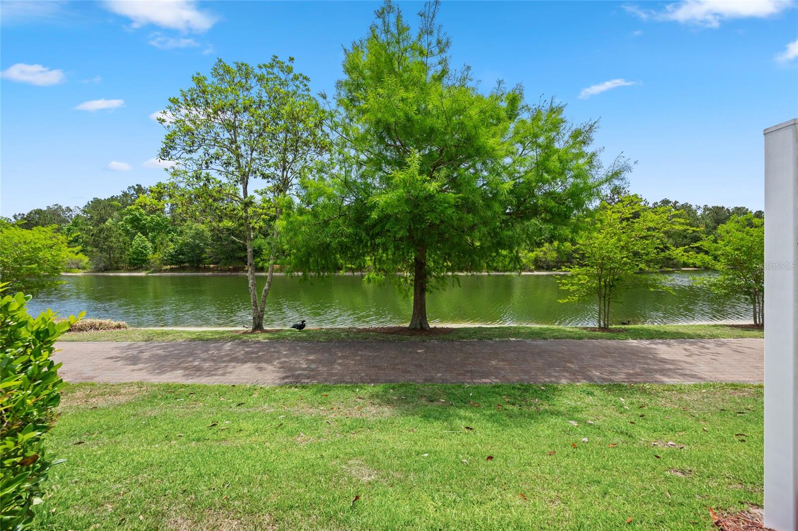 585 RUNNING WOODS ST, ORANGE PARK, FL, 32065