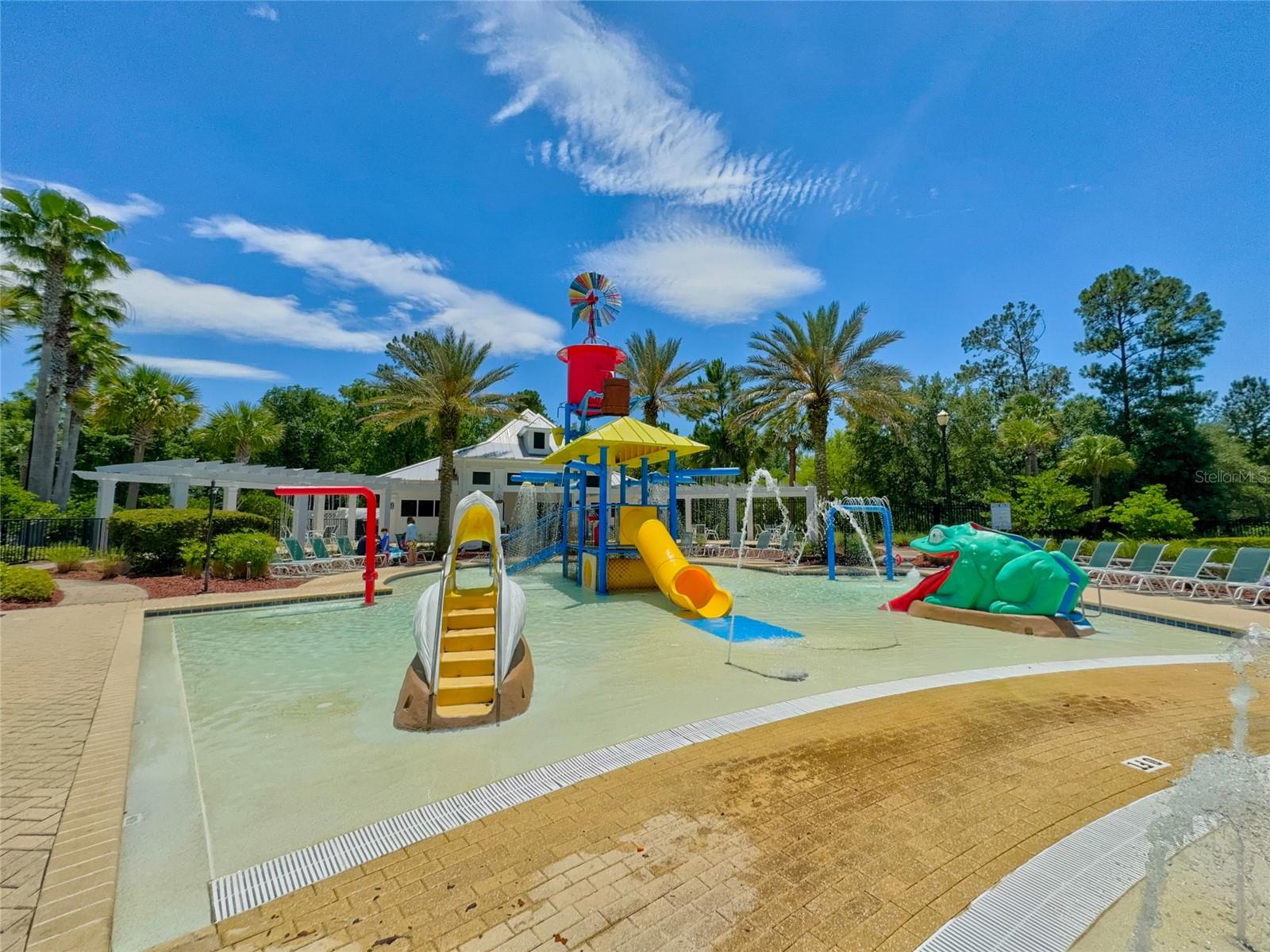 585 RUNNING WOODS ST, ORANGE PARK, FL, 32065