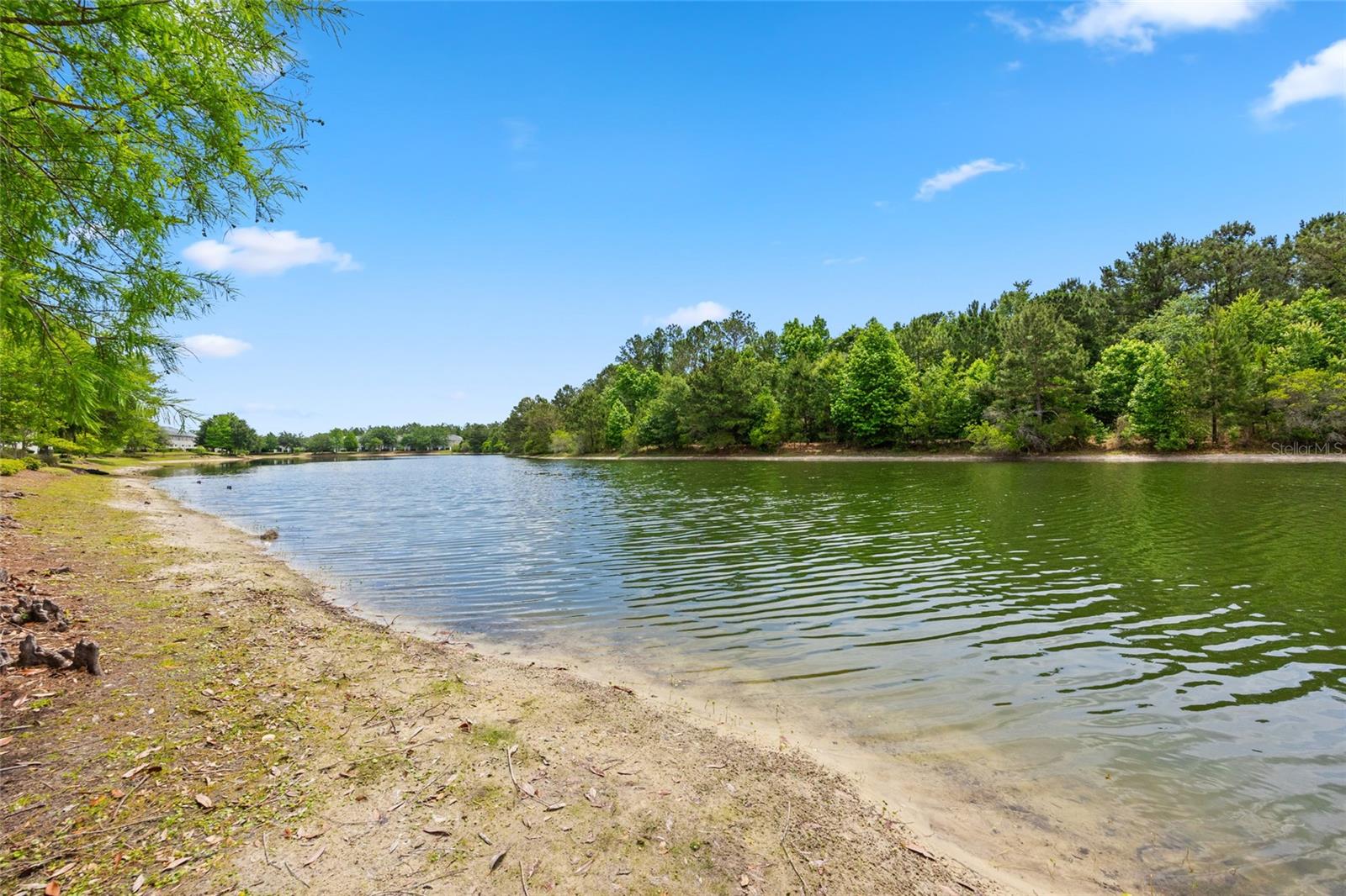 585 RUNNING WOODS ST, ORANGE PARK, FL, 32065