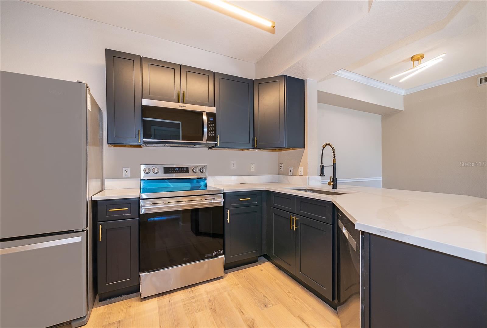5513 P G A BLVD #4827, ORLANDO, FL, 32839