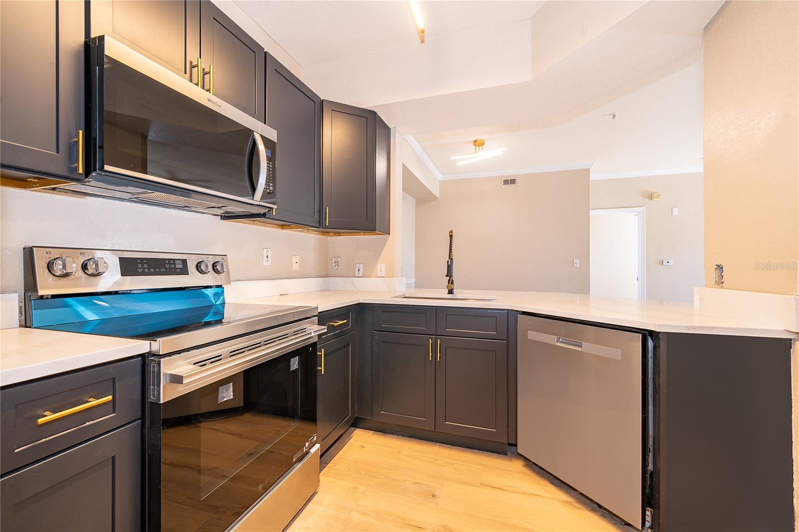 5513 P G A BLVD #4827, ORLANDO, FL, 32839
