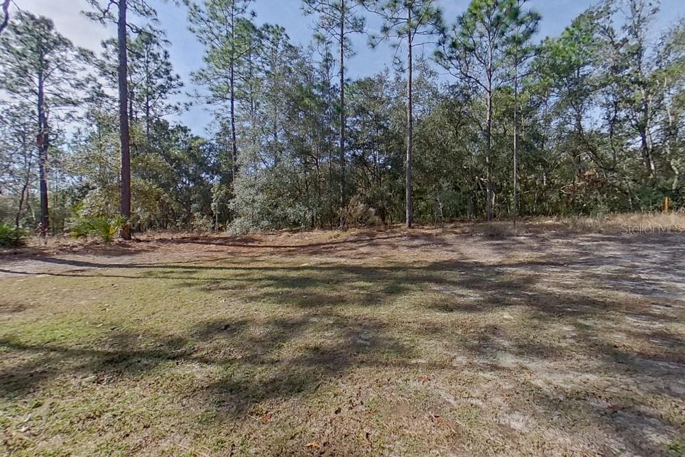 10872 N FRANTZ AVE, CITRUS SPRINGS, FL, 34434