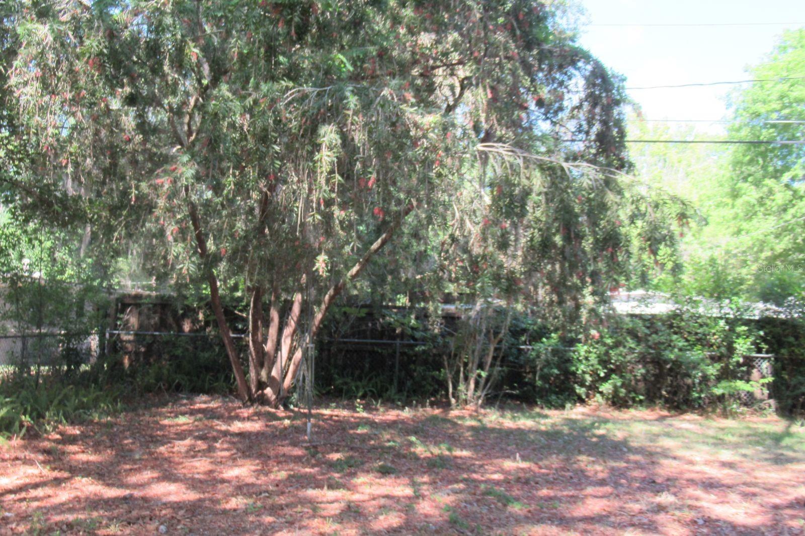 3004 NE 10TH DR, GAINESVILLE, FL, 32609