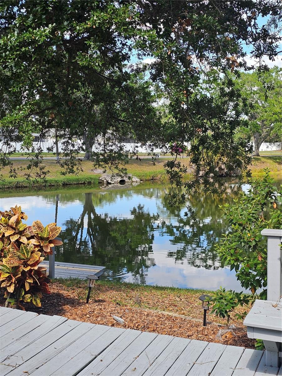 3235 BUCKHORN DR, CLEARWATER, FL, 33761