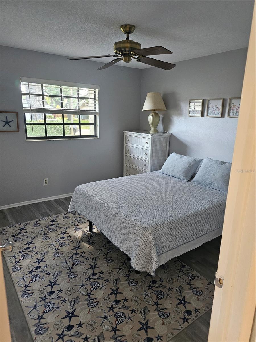 3235 BUCKHORN DR, CLEARWATER, FL, 33761