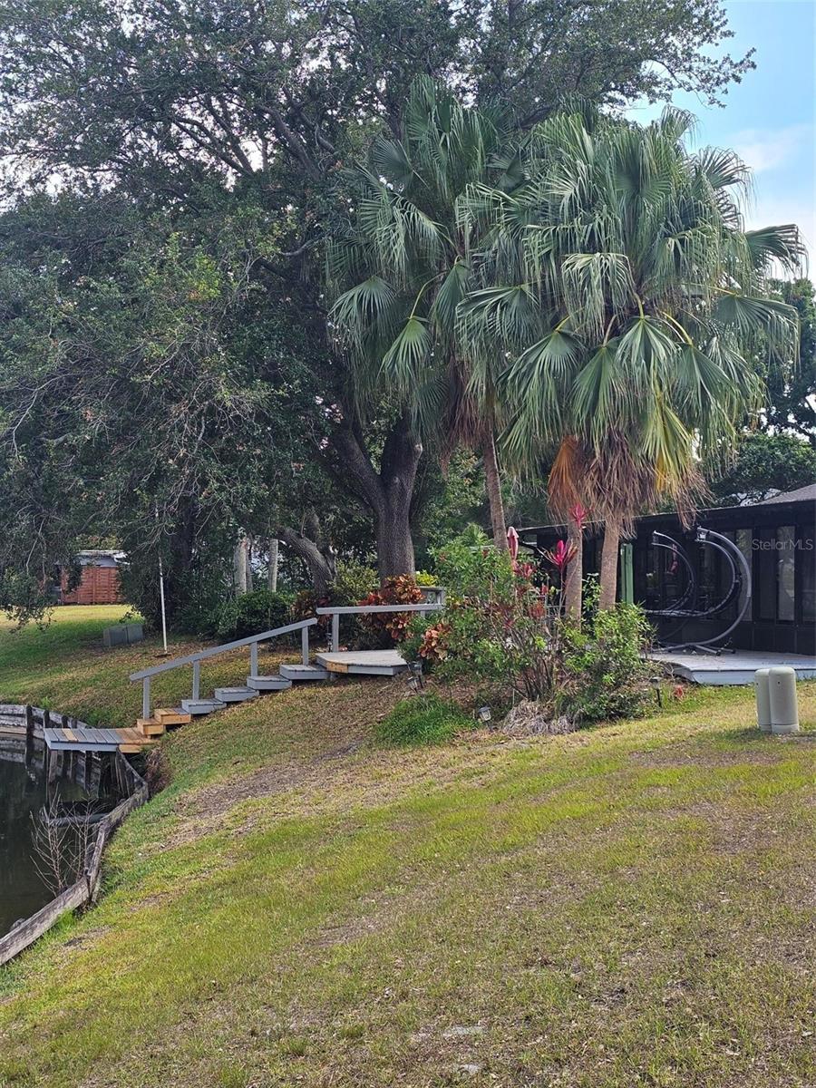 3235 BUCKHORN DR, CLEARWATER, FL, 33761