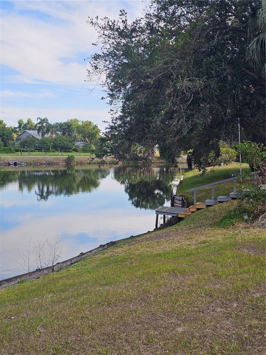 3235 BUCKHORN DR, CLEARWATER, FL, 33761