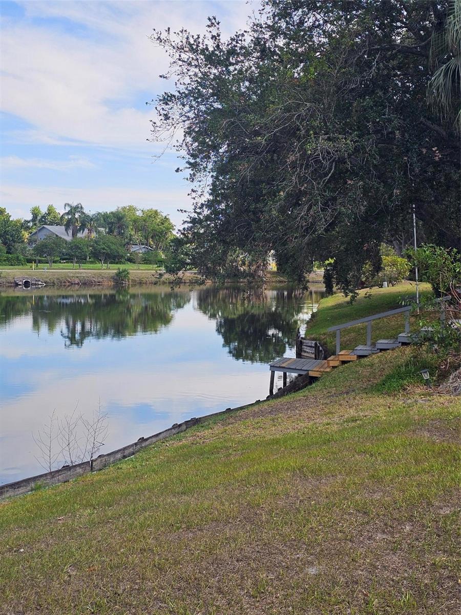 3235 BUCKHORN DR, CLEARWATER, FL, 33761
