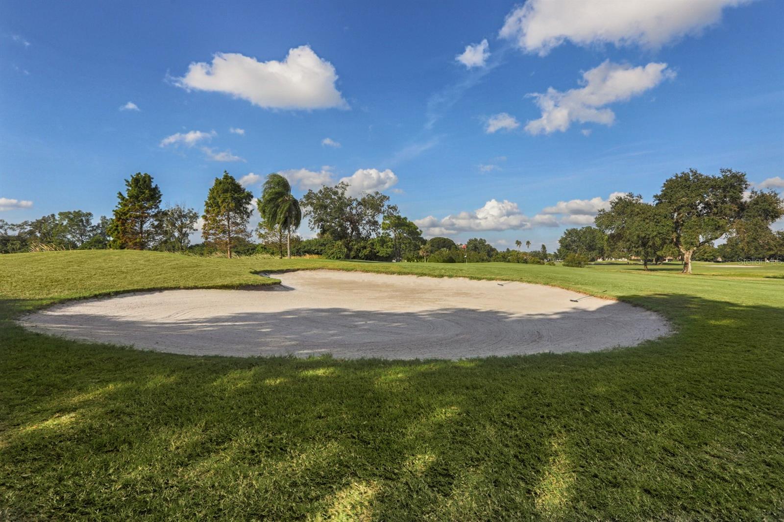 1007 RIVER OAKS CT, VENICE, FL, 34293