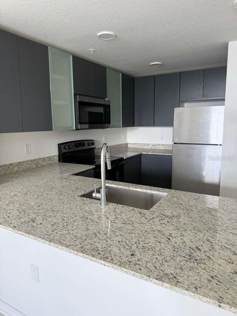 5579 MILLENIA PARK BLVD #203, ORLANDO, FL, 32839