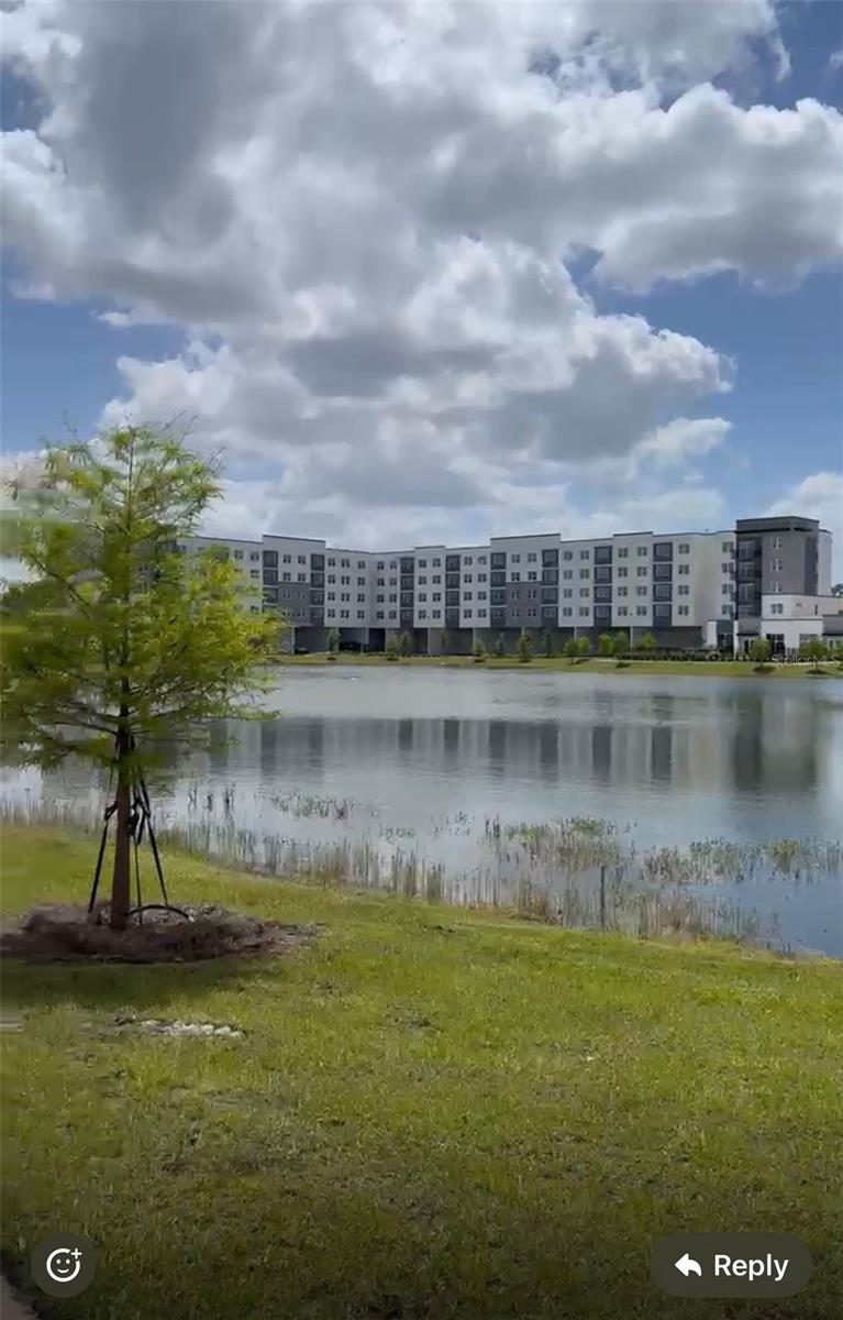 5579 MILLENIA PARK BLVD #203, ORLANDO, FL, 32839