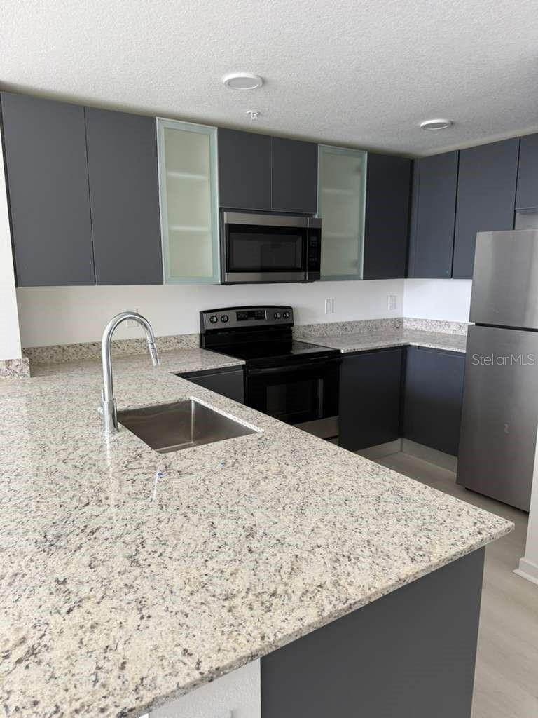 5579 MILLENIA PARK BLVD #203, ORLANDO, FL, 32839
