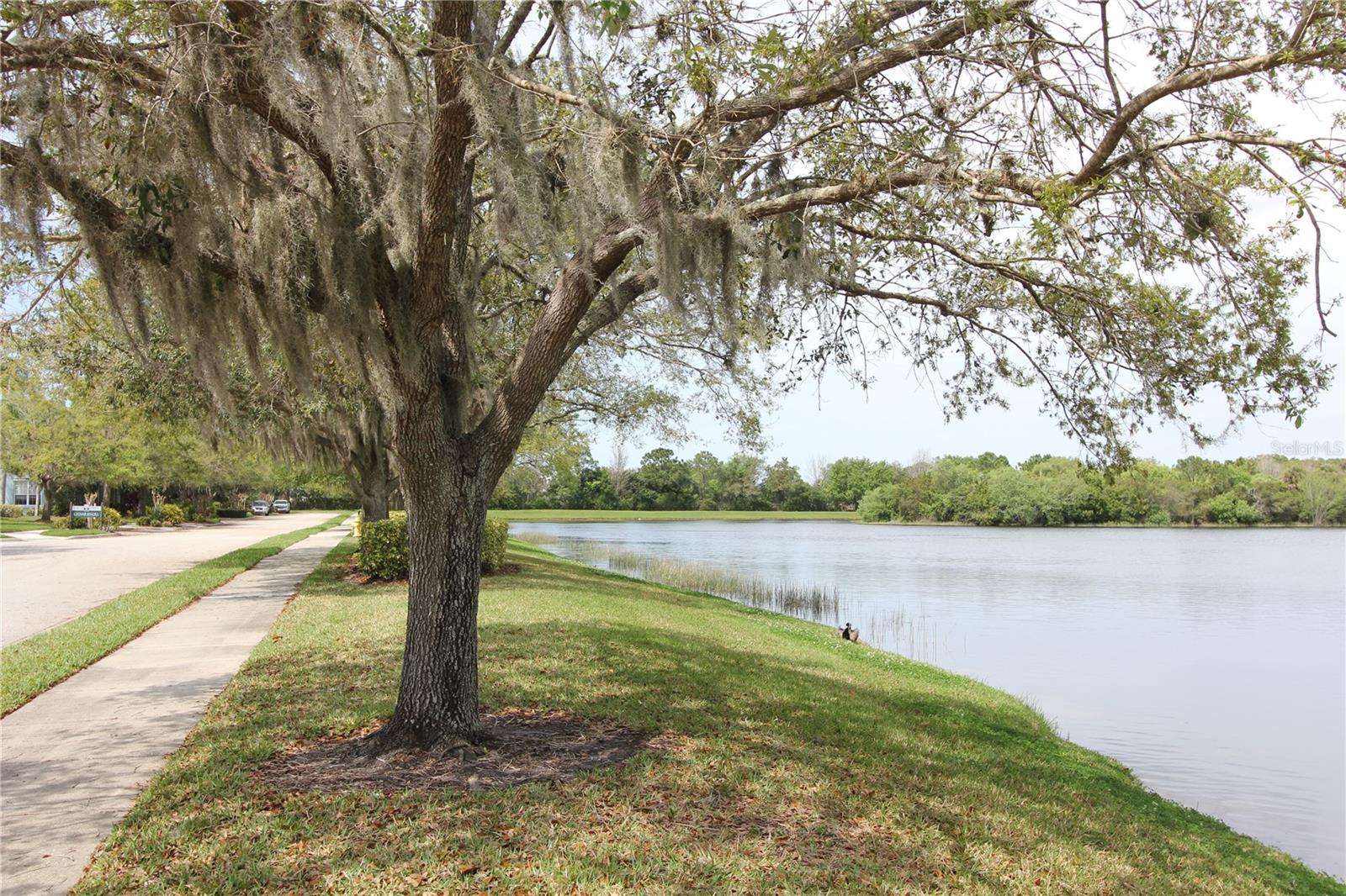 11717 CRAWFORD PARRISH LN, PARRISH, FL, 34219
