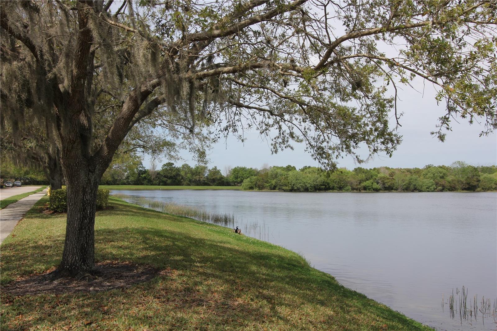 11717 CRAWFORD PARRISH LN, PARRISH, FL, 34219