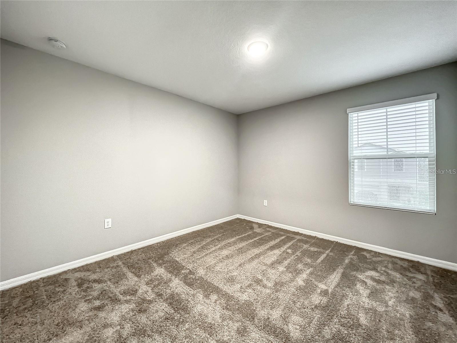 7540 FREESIA TRCE, WESLEY CHAPEL, FL, 33545