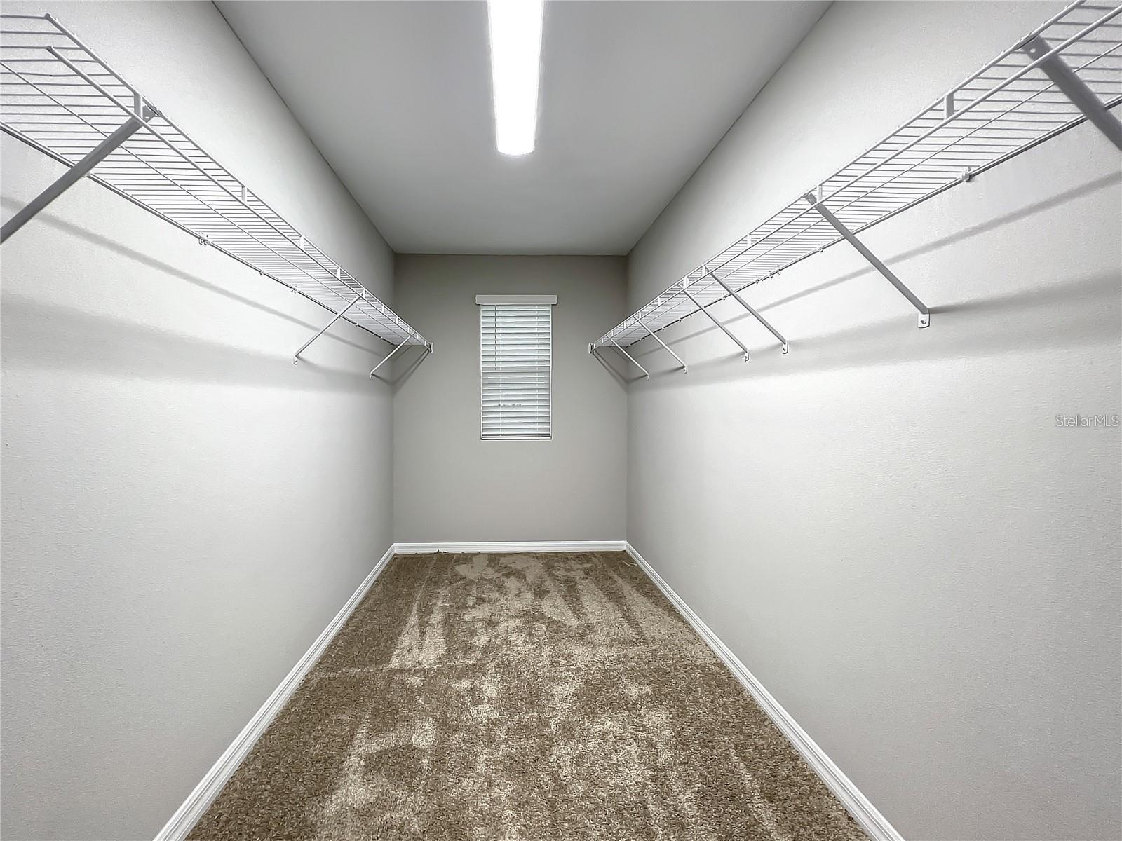 7540 FREESIA TRCE, WESLEY CHAPEL, FL, 33545