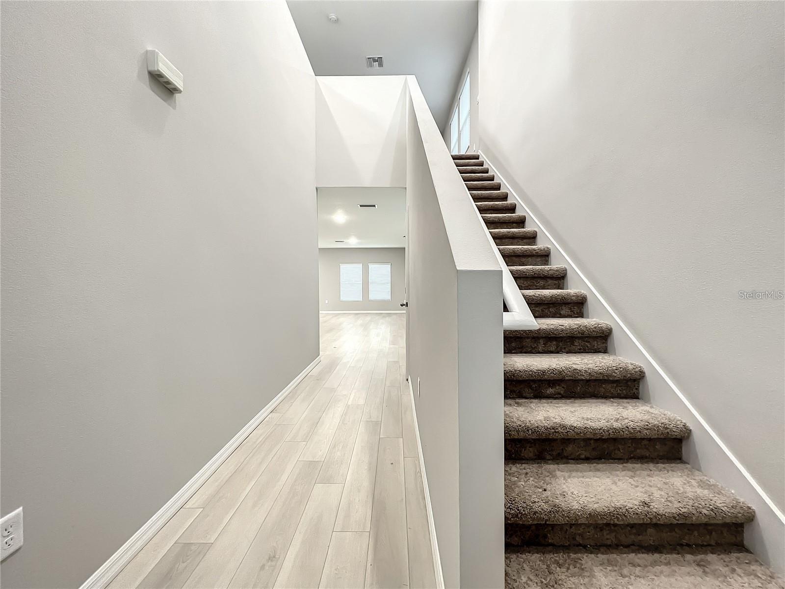 7540 FREESIA TRCE, WESLEY CHAPEL, FL, 33545