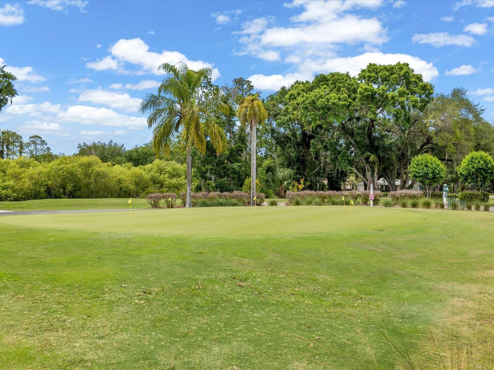9631 OAKWOOD HILLS CT, NEW PORT RICHEY, FL, 34655
