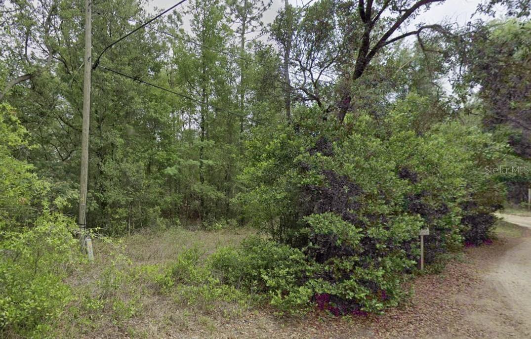 10013 N HOLYOAK TER, DUNNELLON, FL, 34433
