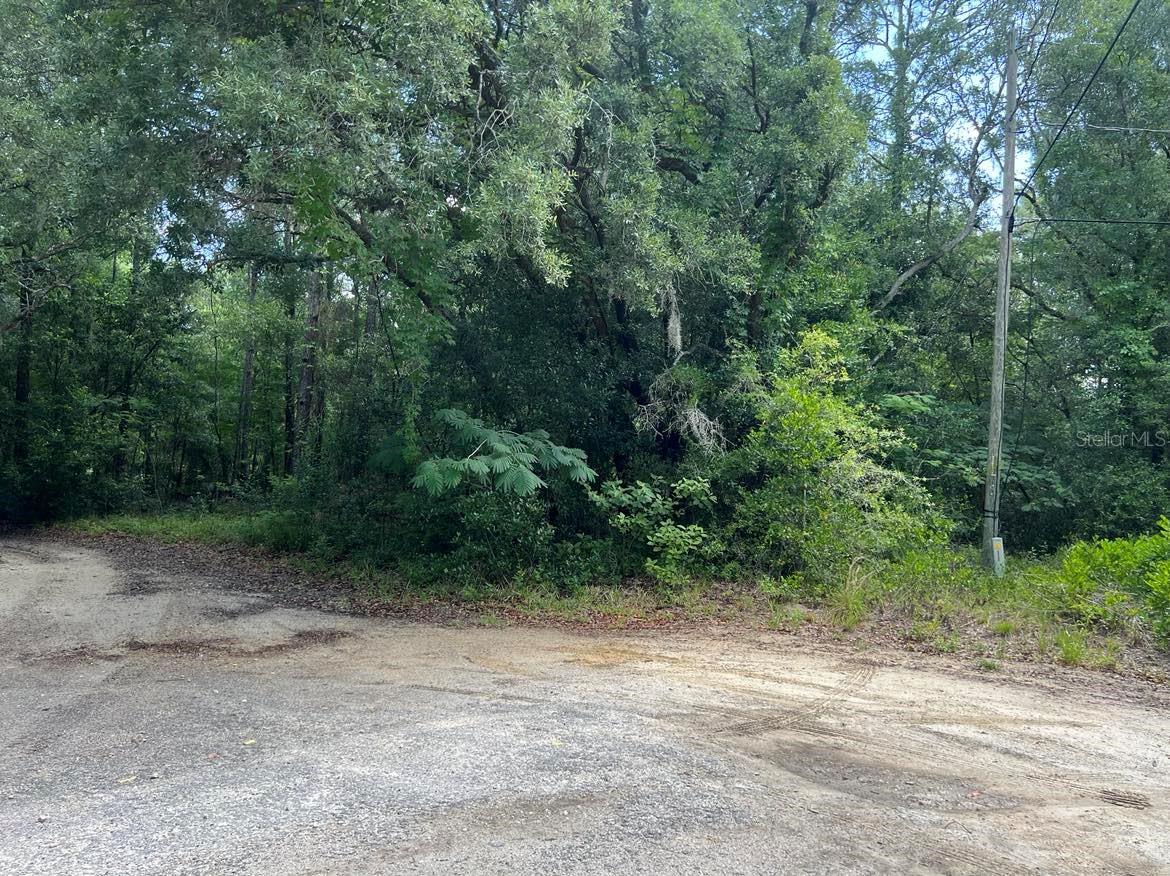 10013 N HOLYOAK TER, DUNNELLON, FL, 34433