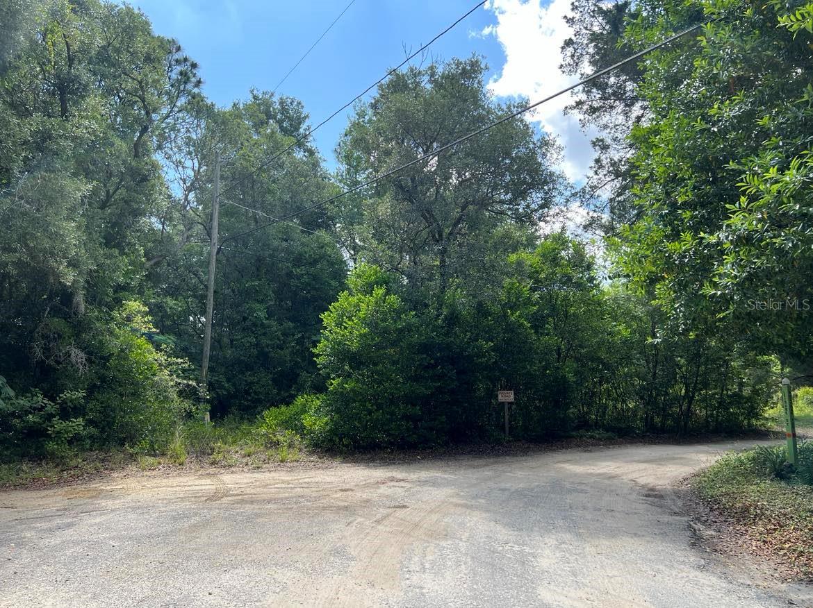 10013 N HOLYOAK TER, DUNNELLON, FL, 34433