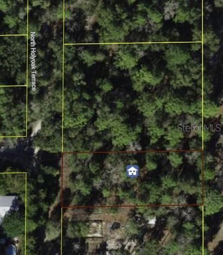 10013 N HOLYOAK TER, DUNNELLON, FL, 34433